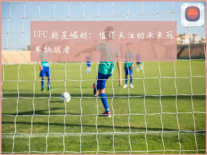 UFC 新星崛起：值得关注的未来冠军挑战者