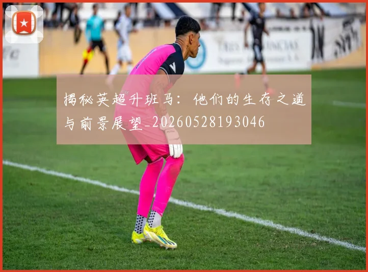 揭秘英超升班马：他们的生存之道与前景展望_20260528193046