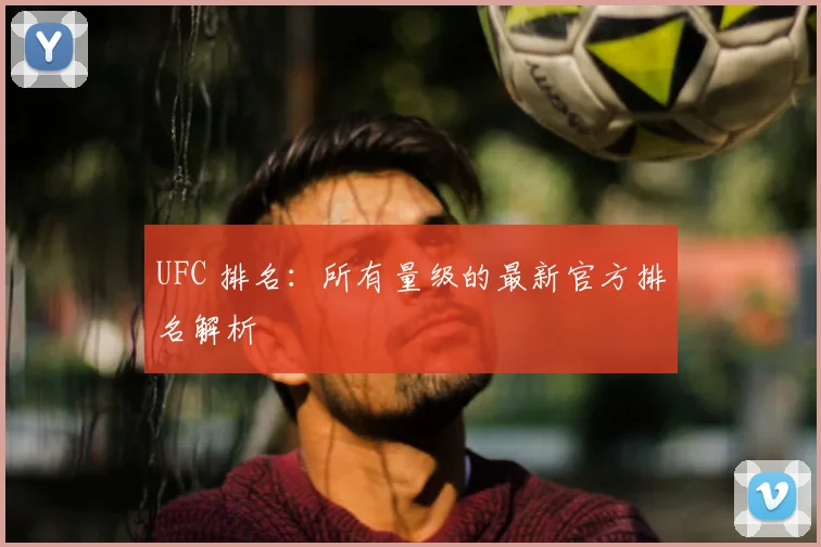 UFC 排名：所有量级的最新官方排名解析
