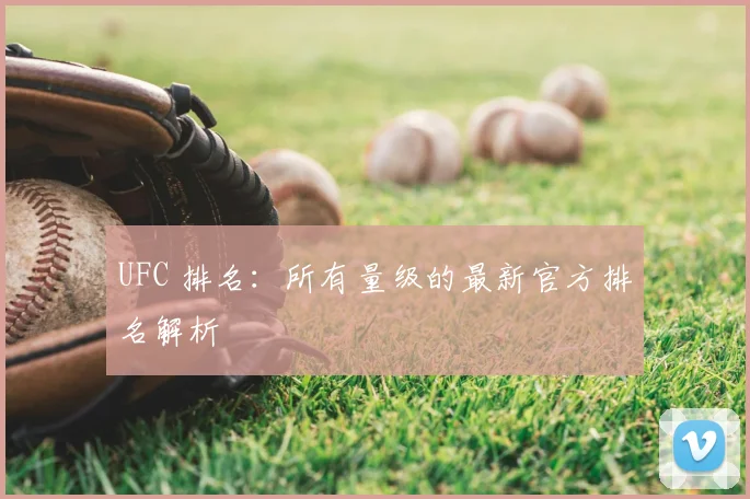 UFC 排名：所有量级的最新官方排名解析