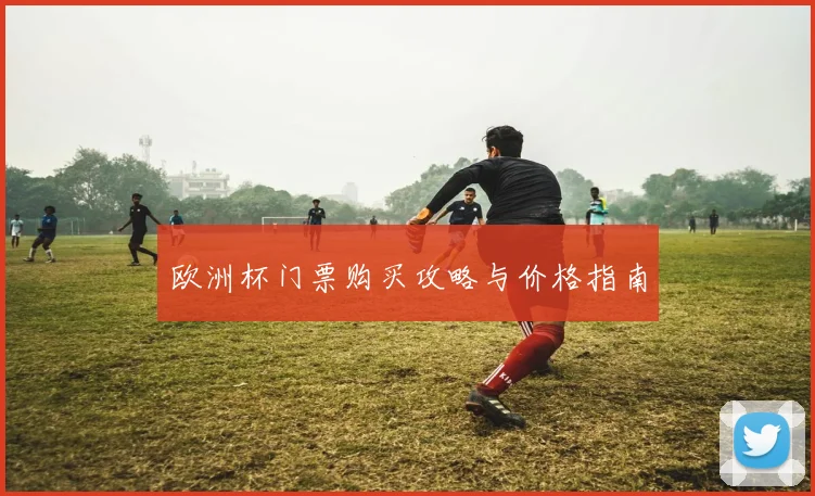 欧洲杯门票购买攻略与价格指南